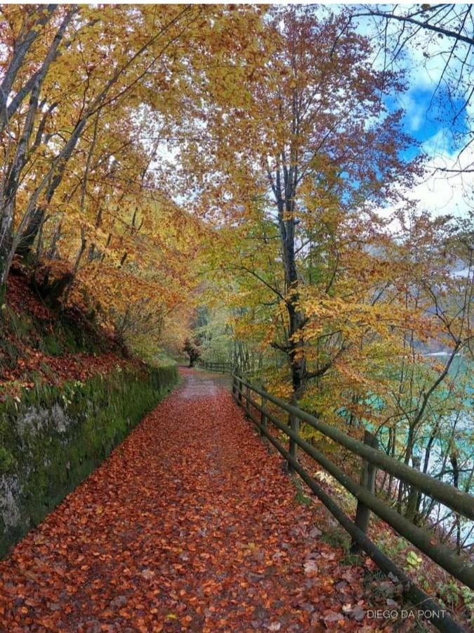 Colori Nel Parco Apartment Cesiomaggiore Ngoại thất bức ảnh